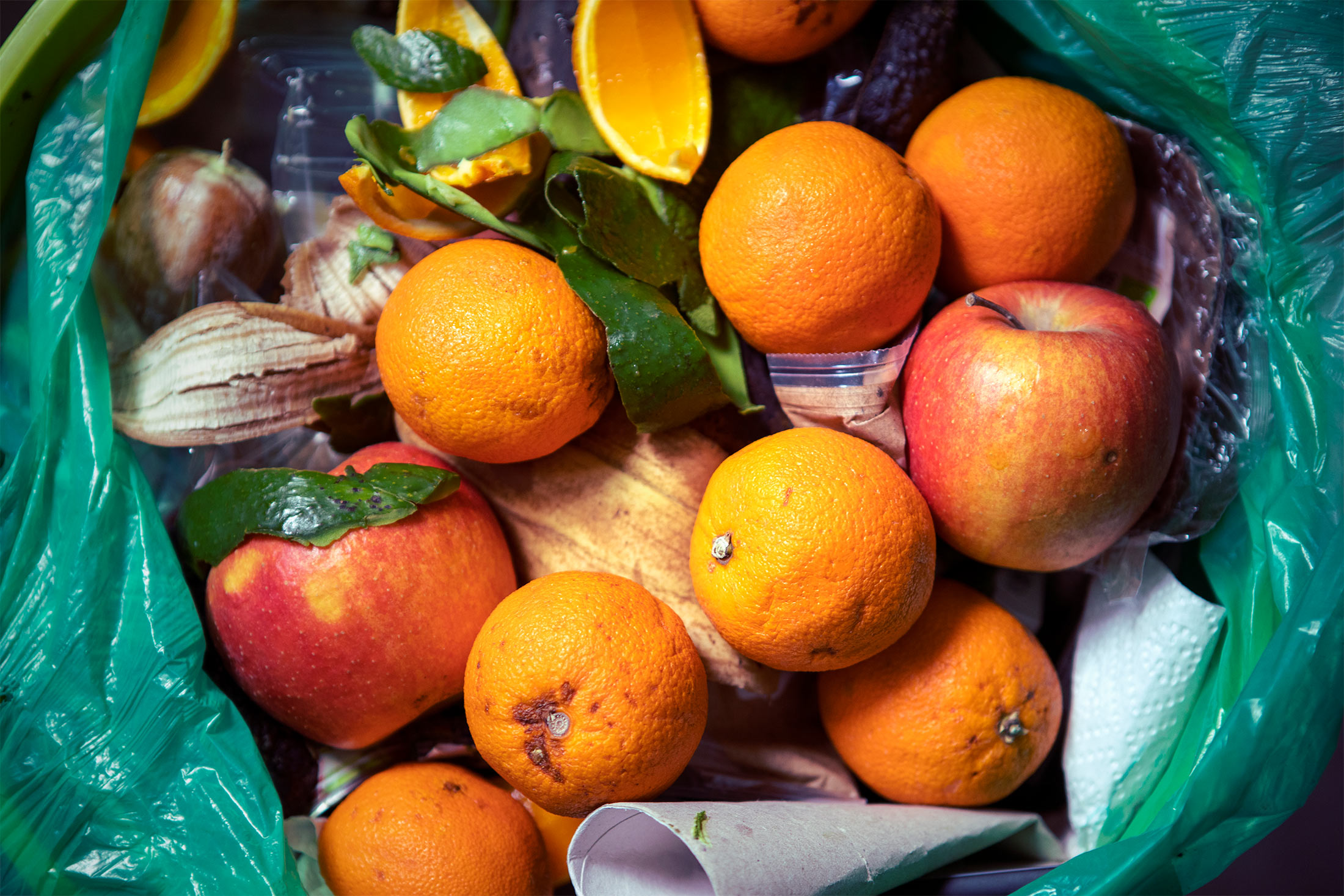 Rotting Fruit And Vegetables Stock Photo - Download Image Now - Rotting,  Food, Fruit - iStock