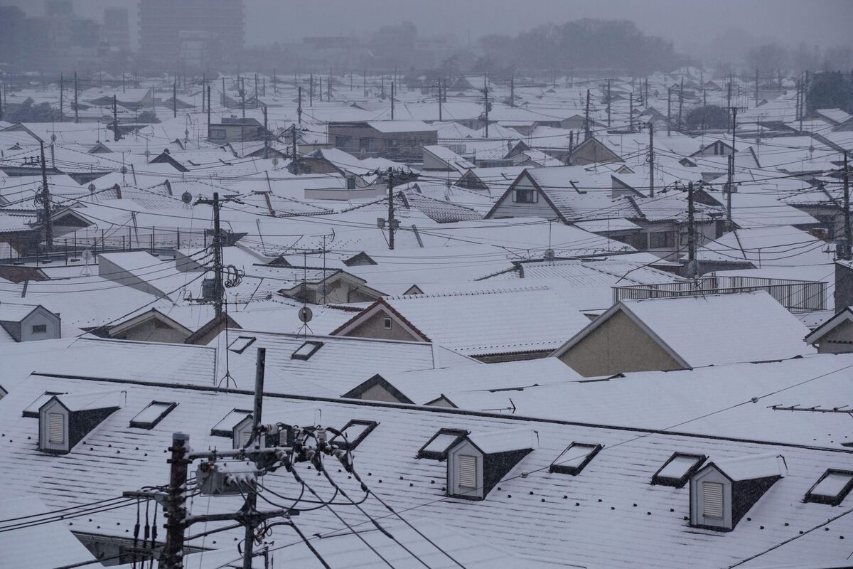 JAL ANA Cancel Dozens of Flights as Icy Weather Blankets Japan - Bloomberg