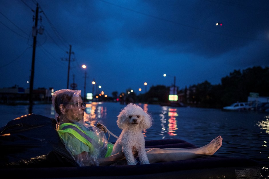An elderly woman and her poodle use an air mattress to float above flood waters from Tropical Storm Harvey while waiting to be rescued in Houston.
