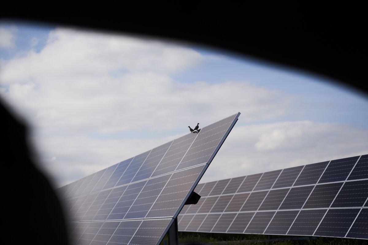 Clean Energy Trade Ripe for ‘Smart Money’, Singapore Envoy Says