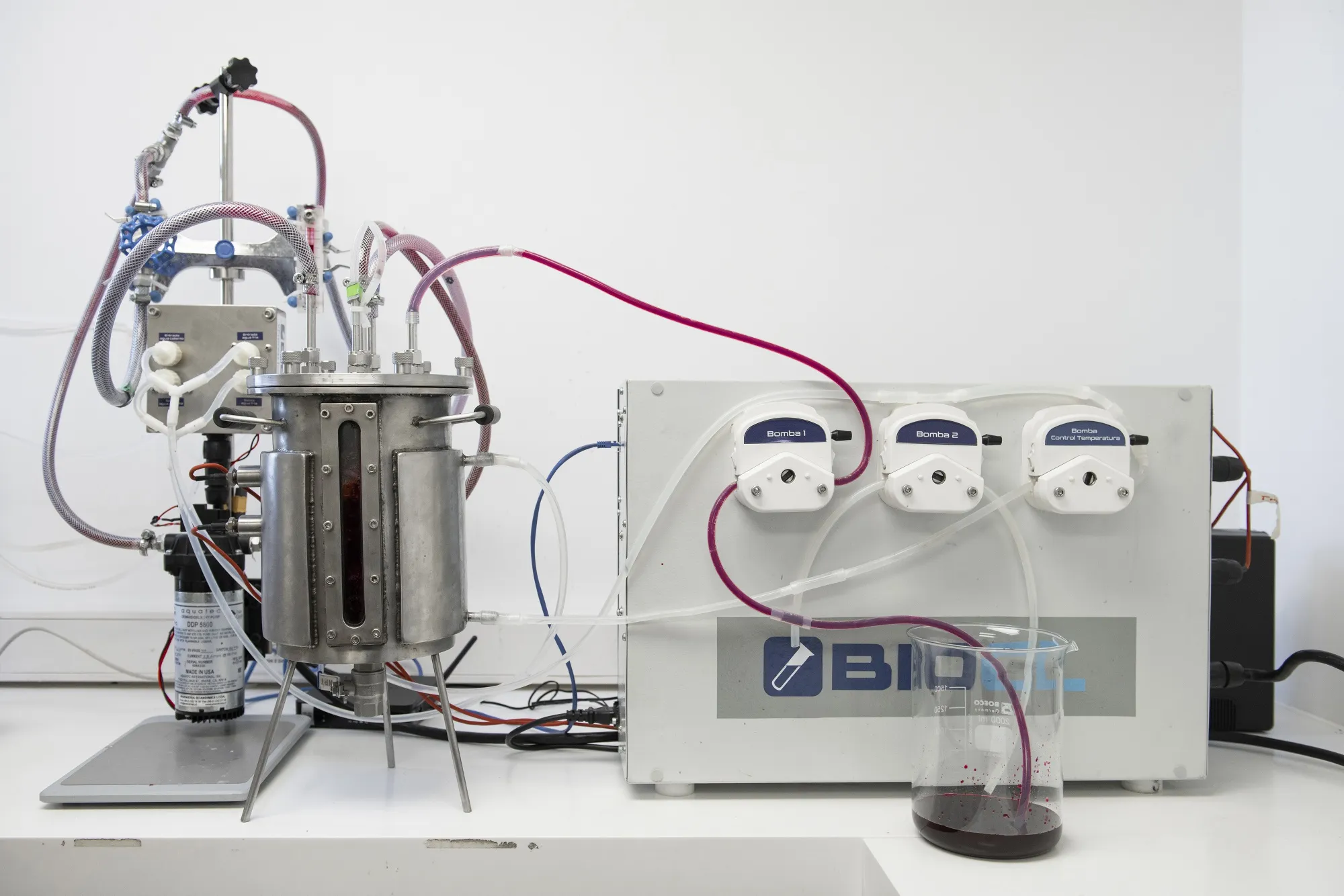 Winery Concha y Toro SA uses advanced biochemistry to create climate change-resistant grapes.