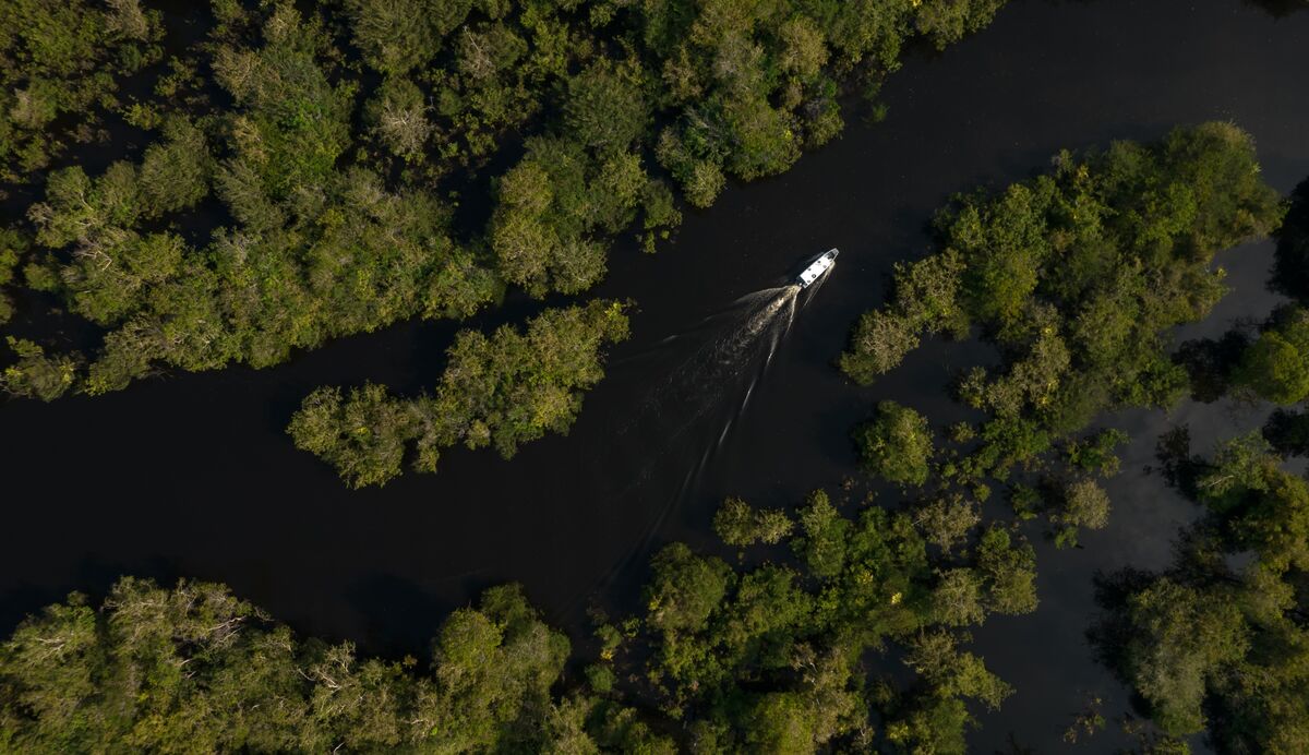 Petrobras Wins Years-Long Fight to Explore for Oil Near Amazon