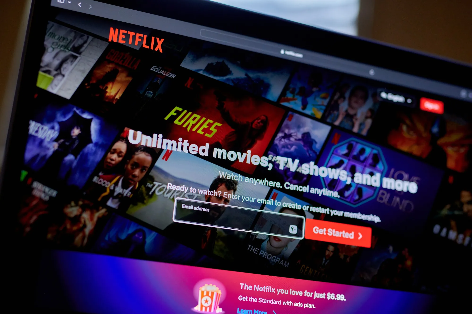 The Netflix website in 2024.
