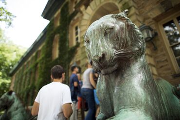 Princeton Drug Royalties Lead to Challenge of Tax-Exempt Status