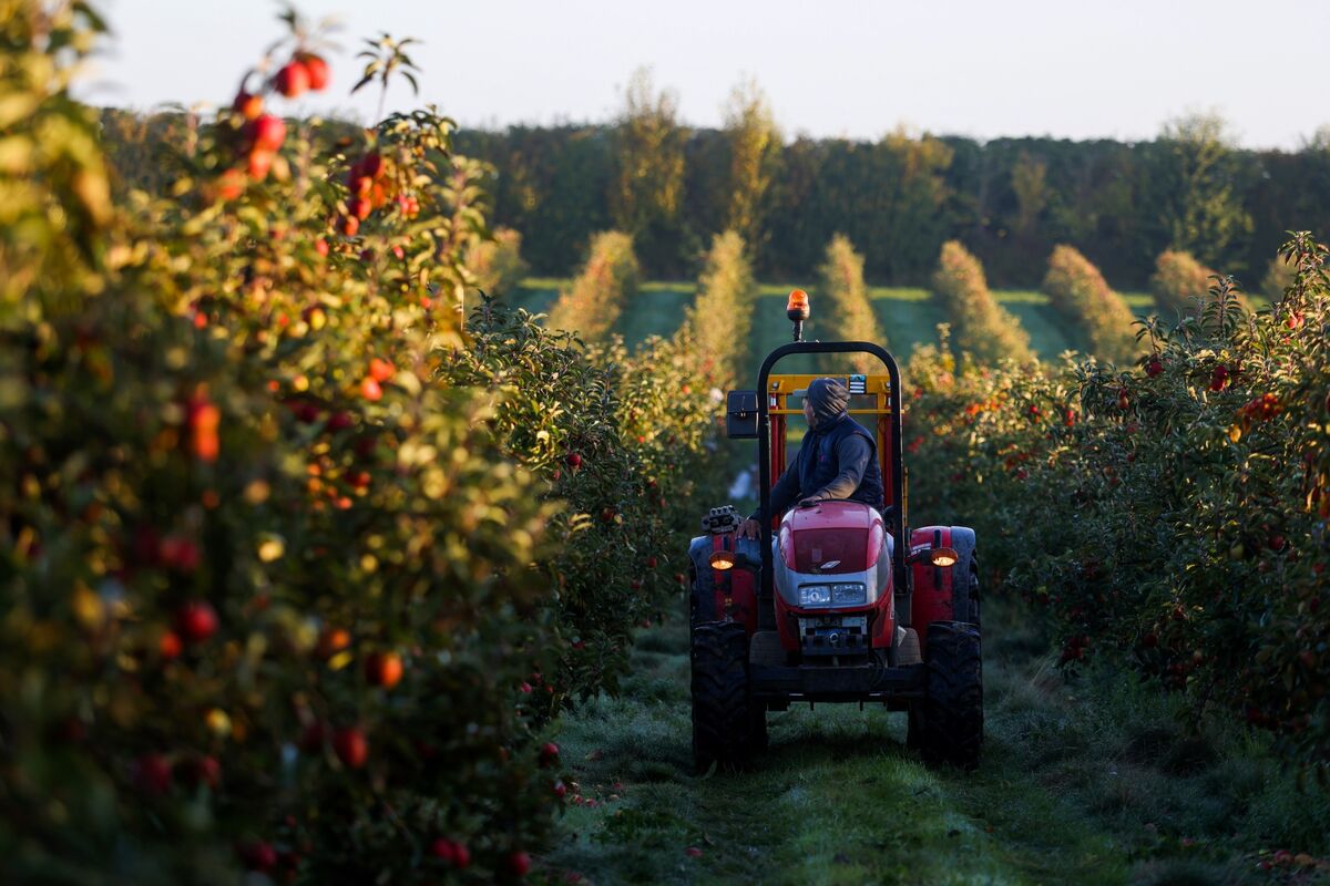 UK Farming and Trucking Most Exposed to Rise in Retiring Workers