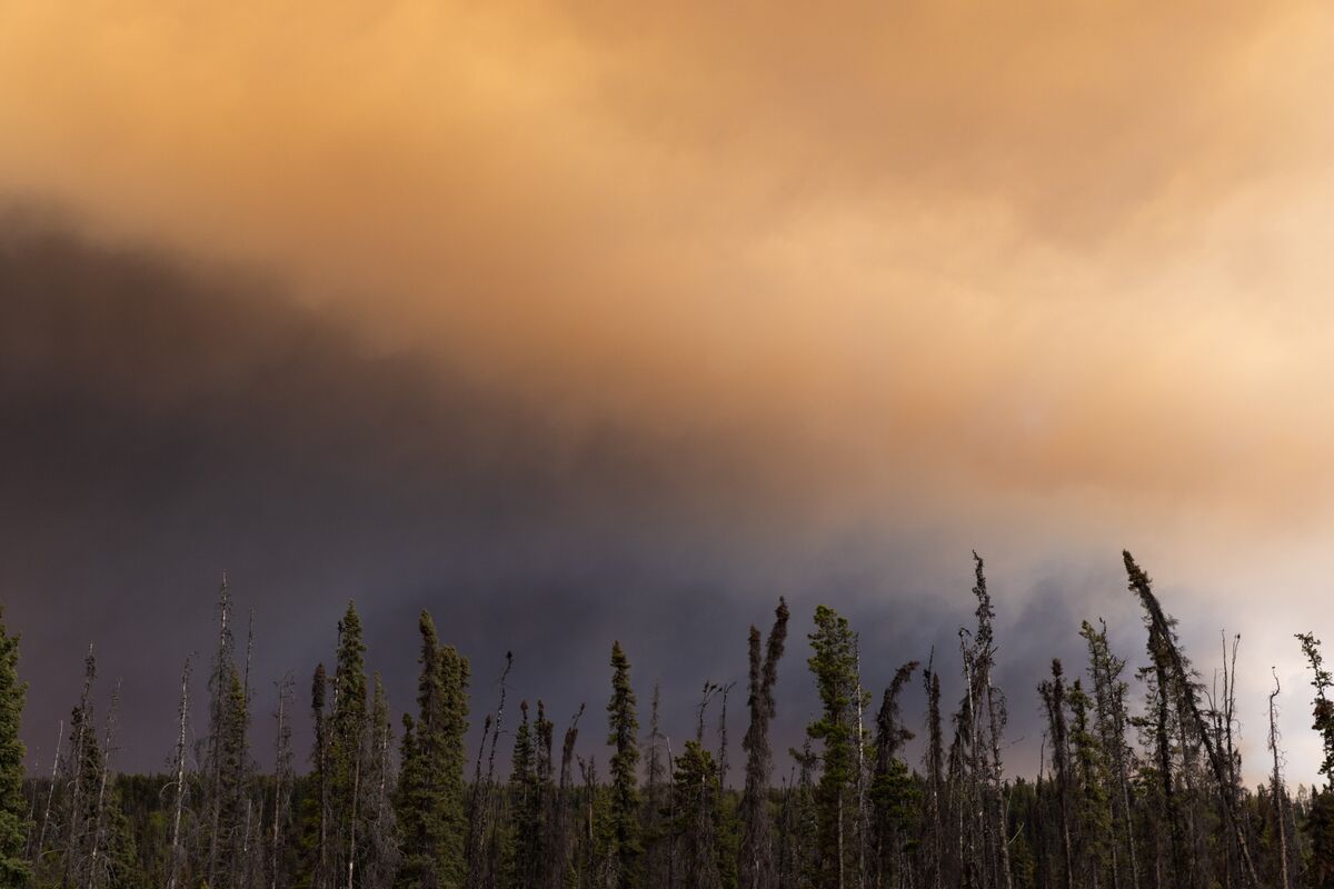 How to Tell If Your Home Is Safe After Wildfire Smoke How to Tell If Your Home Is Safe After Wildfire Smoke