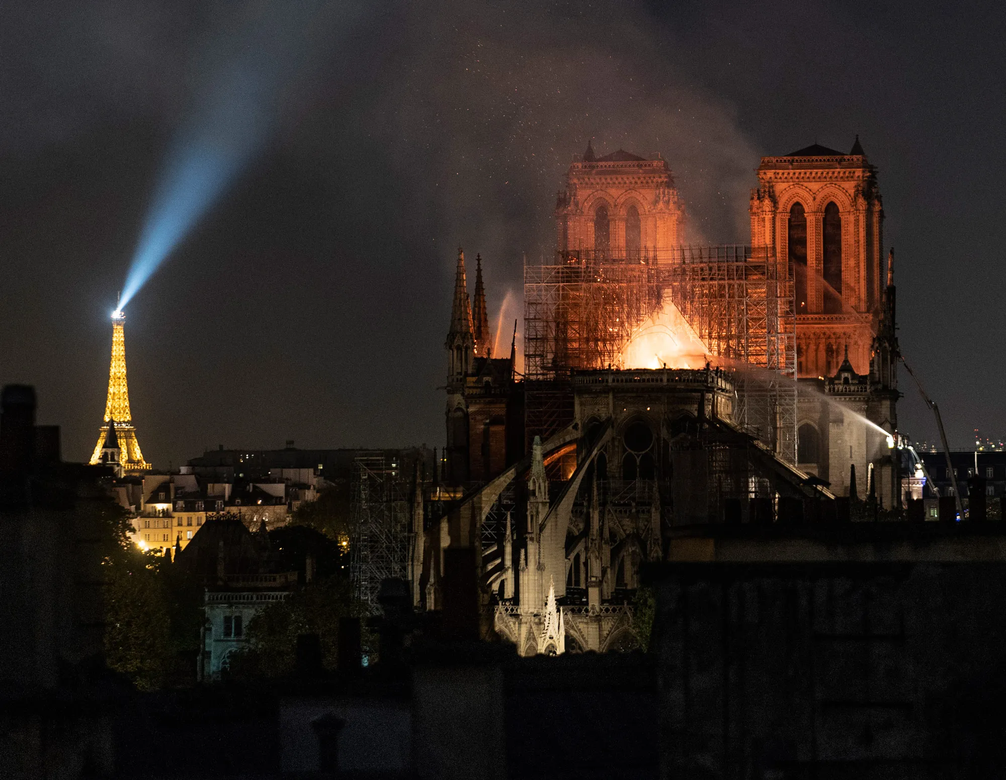 This aged queen of our cathedrals.