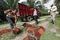 Images Of PT Bakrie Sumatera's Palm Oil, Rubber And Oleochemical Facilities