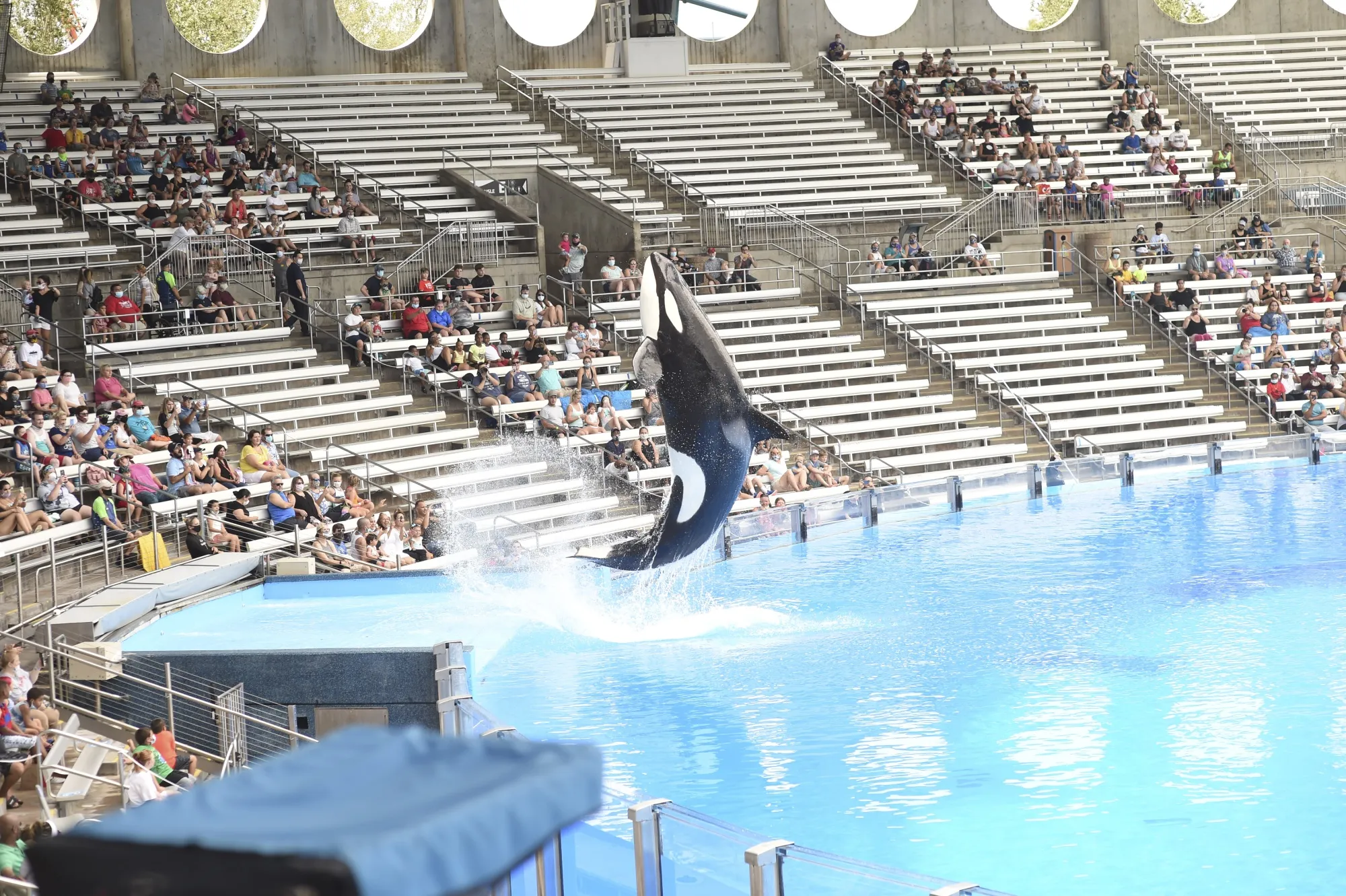 SeaWorld&nbsp;Orlando