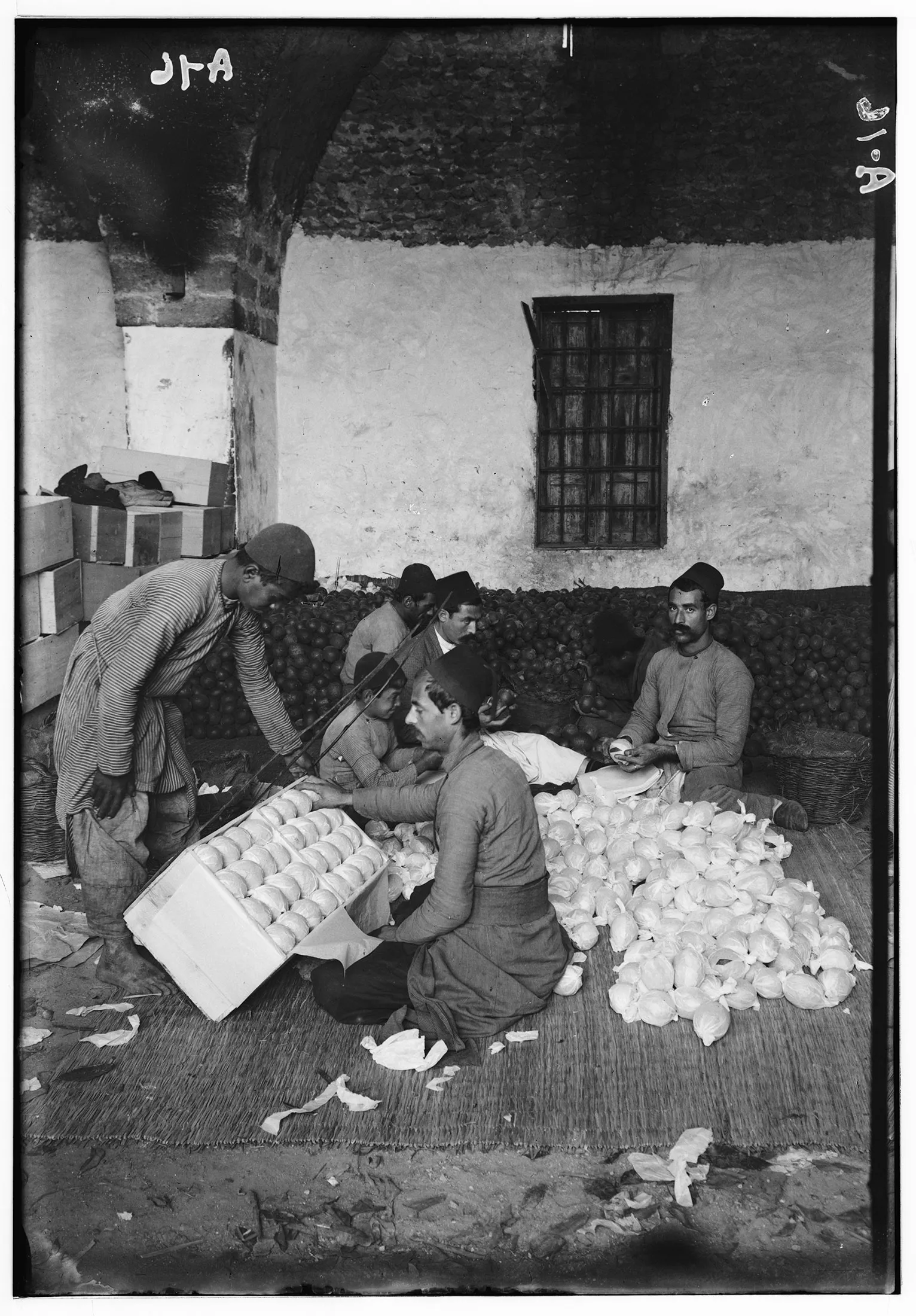 As Israel starves 2 million Palestinians in Gaza and Yemen blocks the Red  Sea in protest of the starvation and genocide, Arab countries have come to  Israel's aid by exporting large quantities, image size:1532x2200