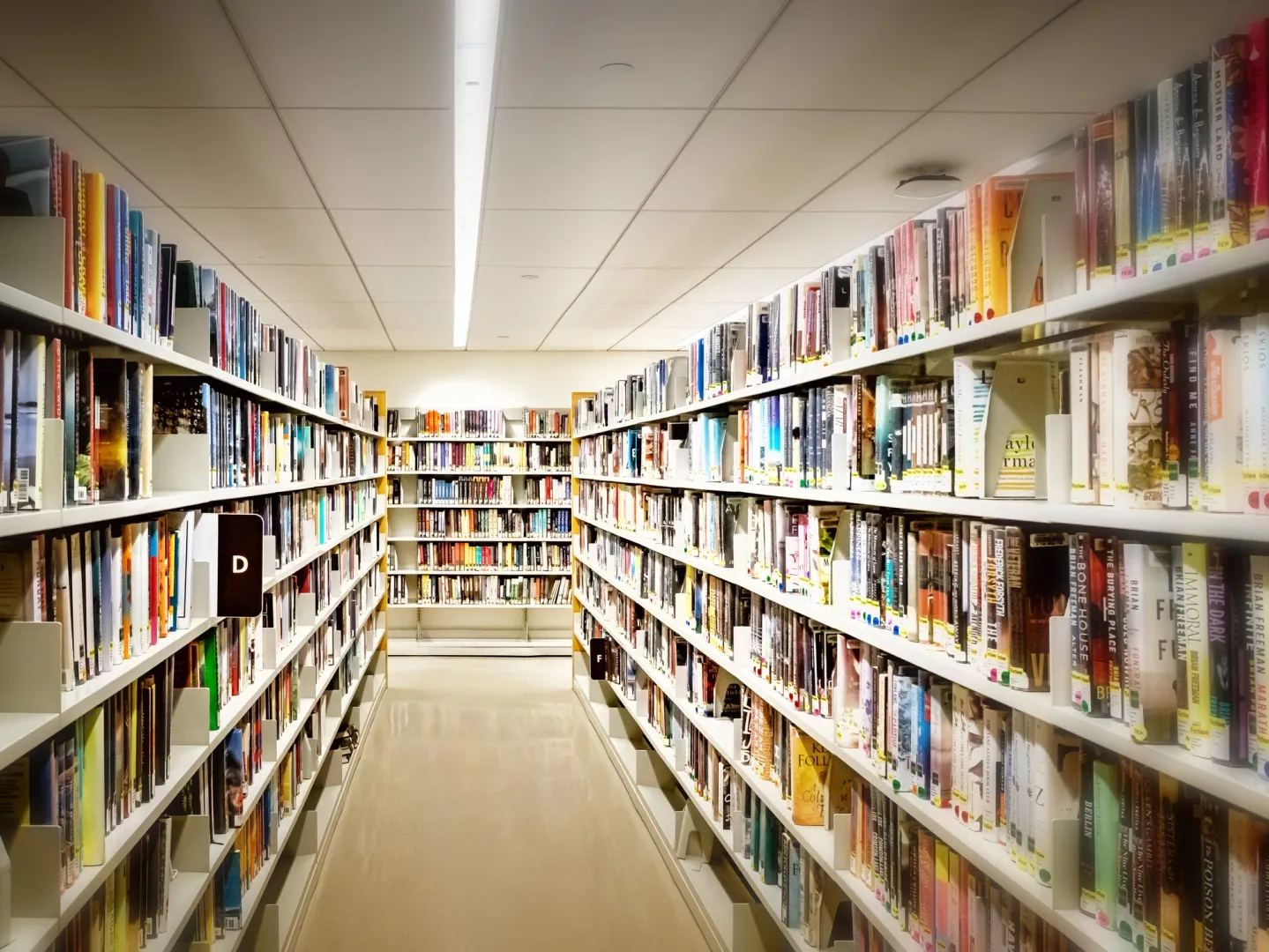 Attempts to ban books have reached record levels in the US. Illinois will now withhold funding from libraries that restrict books.&nbsp;