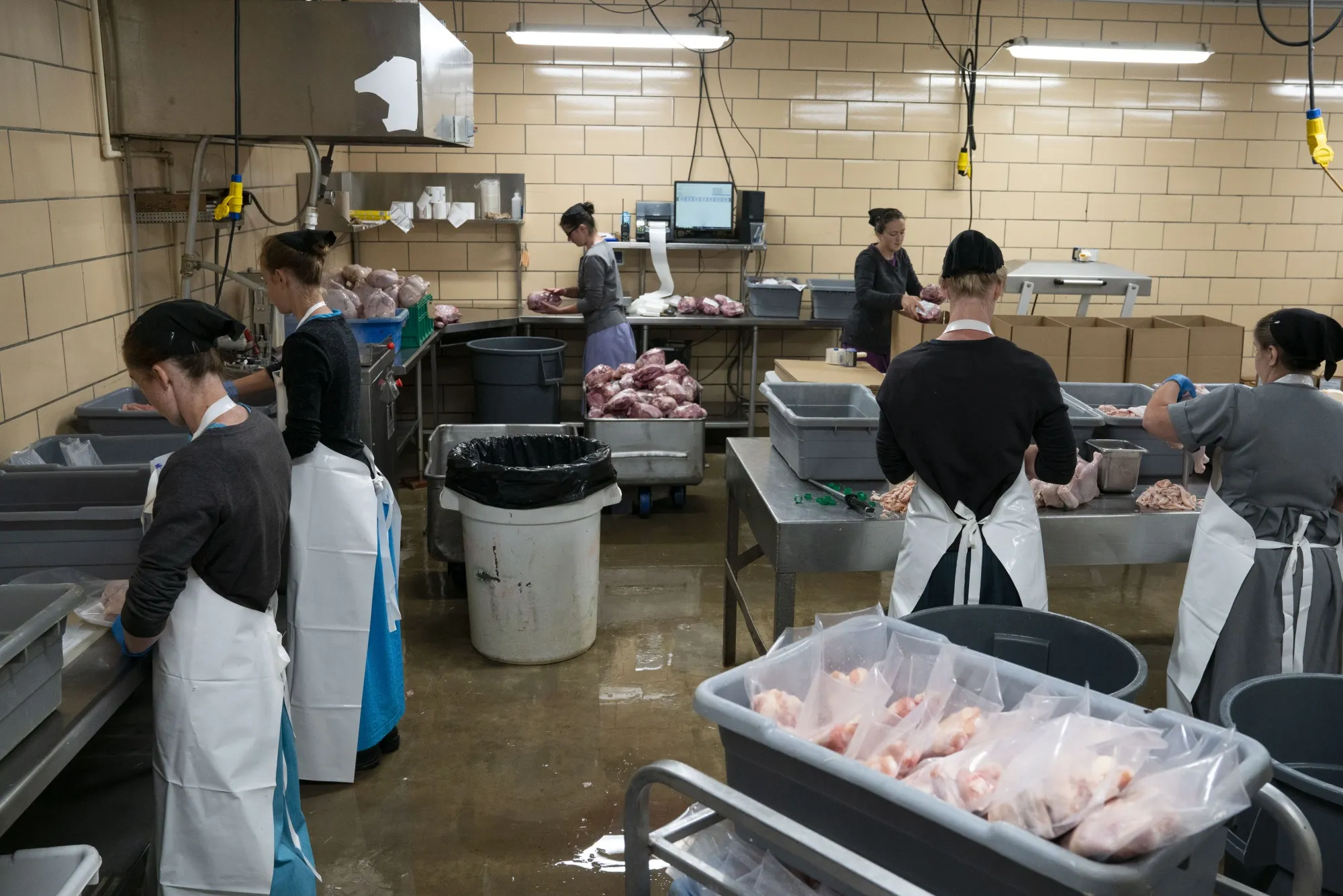 Worker cut and package chicken and turkey parts at the Pleasant Valley Poultry processing facility in Ohio.