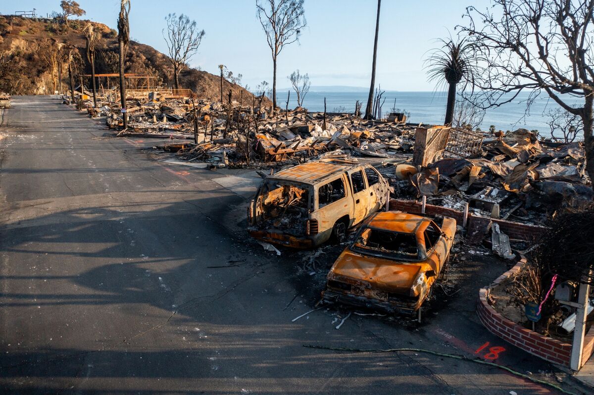 Inside Cities' Plans to Shield Tourism When Disaster Strikes