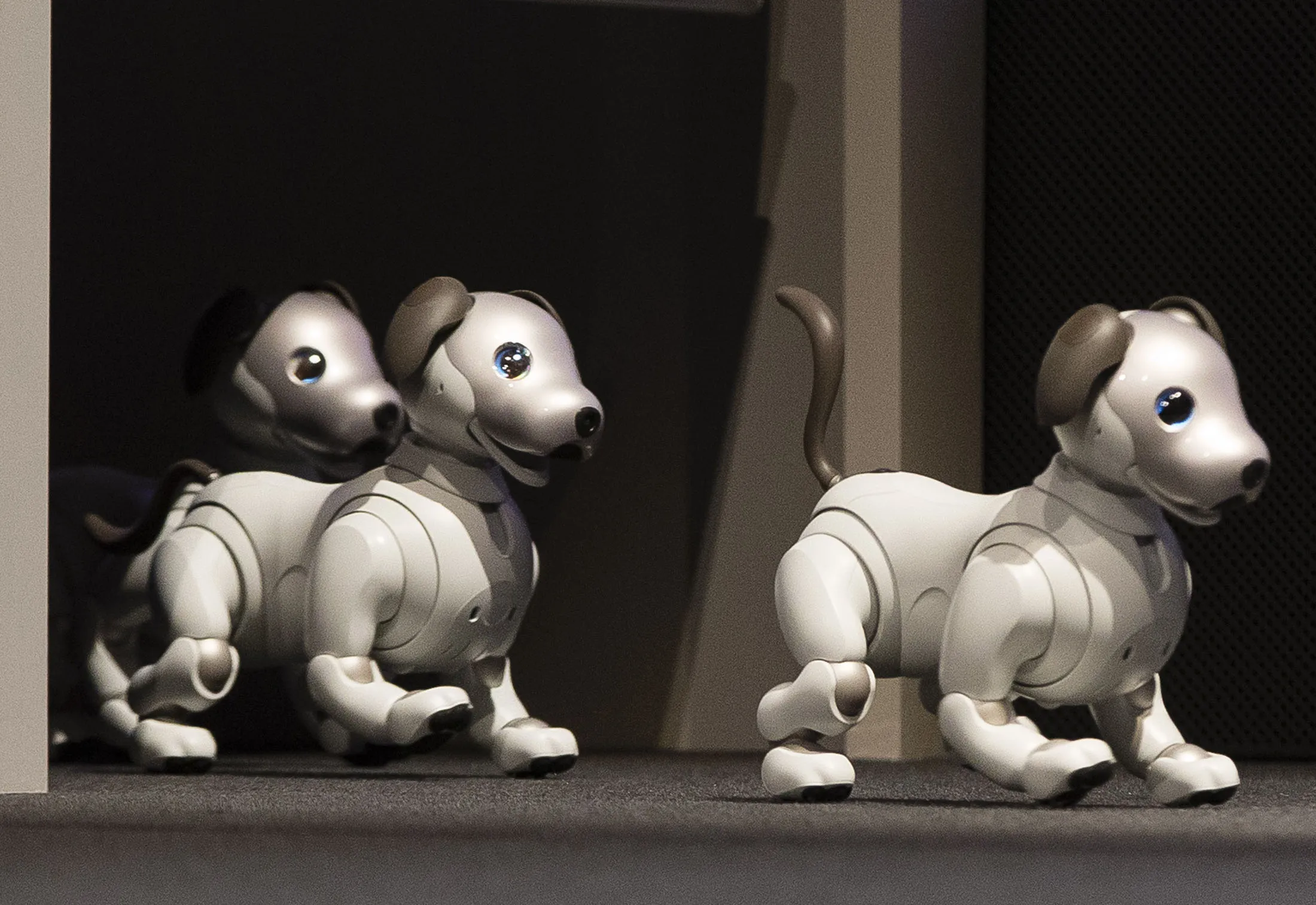 Sony's Aibo Robotic Dog Is Back, With Some New Tricks - Bloomberg