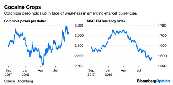 Pot Stocks Bring Out the Worst in Investors