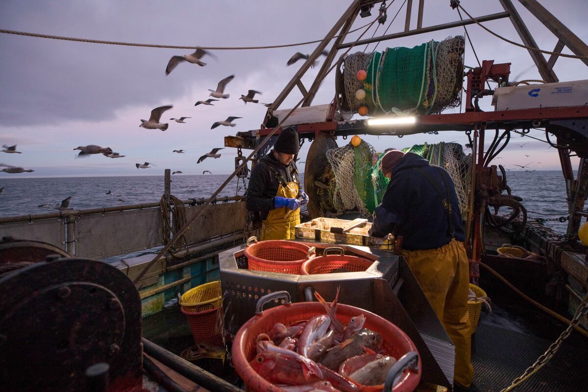 🟪"Pesca e Controlli Alimentari: Gran Bretagna e UE a un Passo dal Vertice Cruciale"