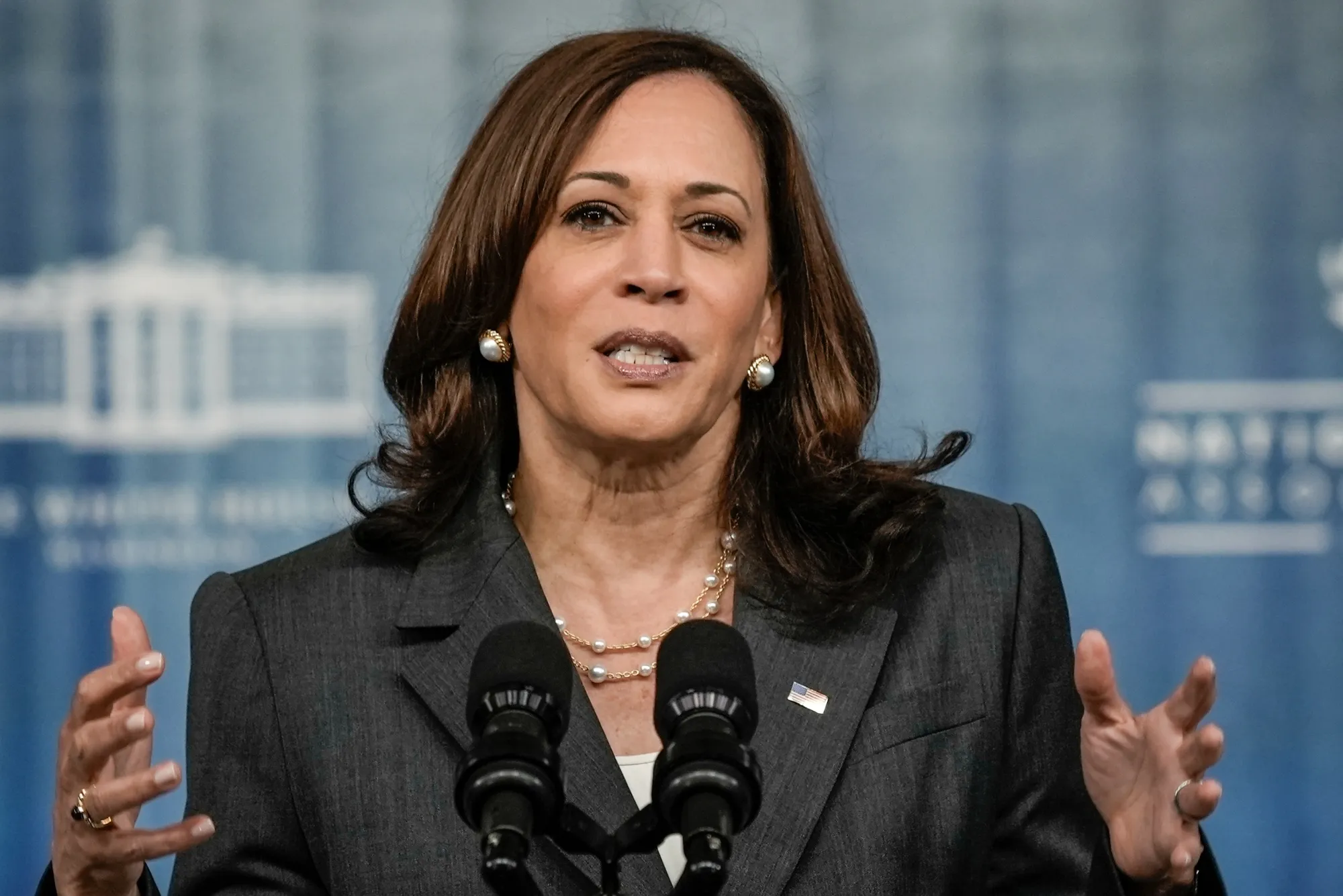 Vice President Kamala Harris