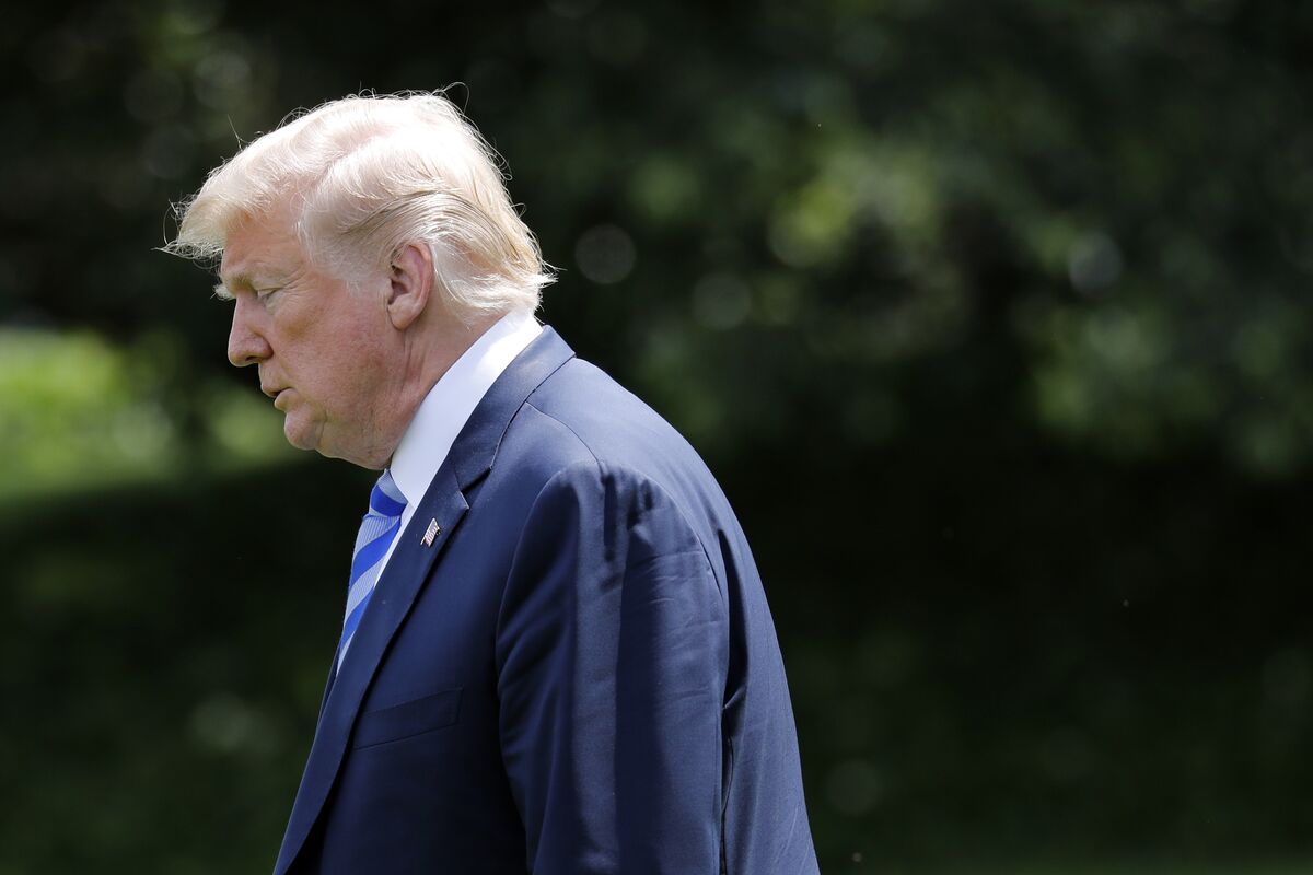 Janus Henderson Manager Says Trump Era May Be Good for Green Bets