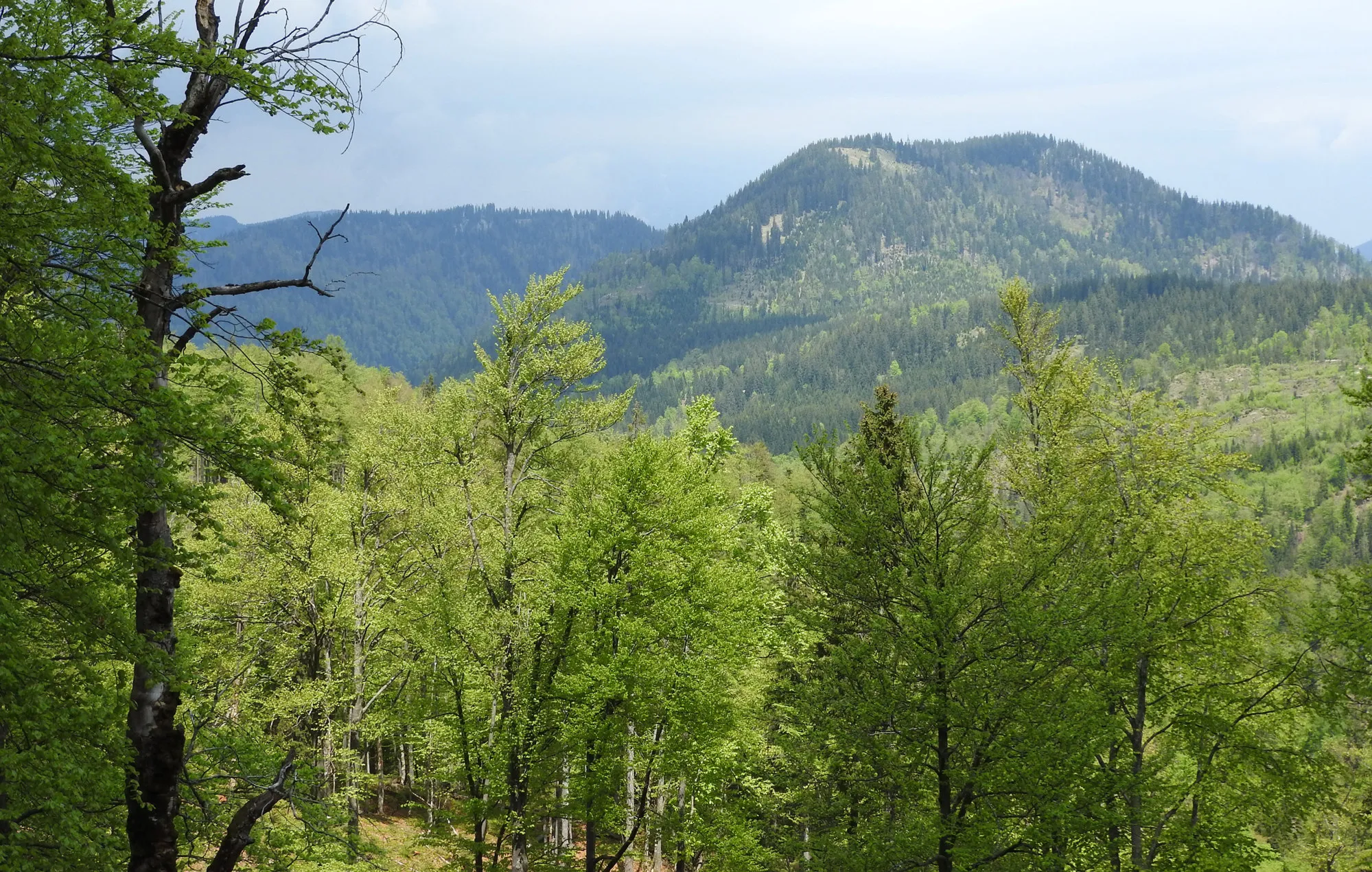 The&nbsp;Langau Hunting Estate in Gaming.