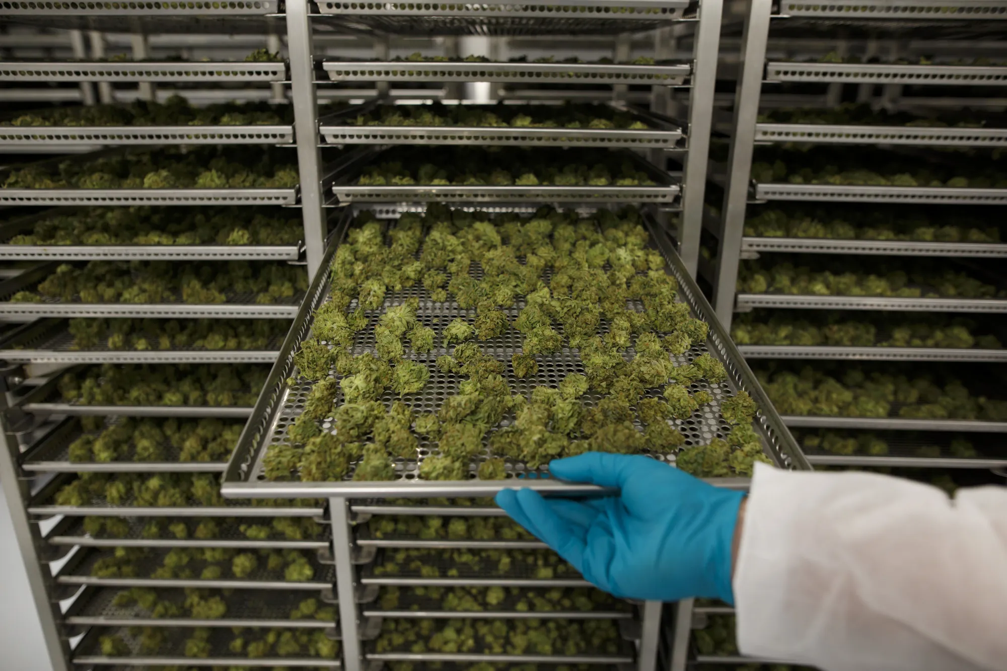 imperial tobacco employees Imperial Brands Chief Flags Interest in Cannabis for `Wellness'