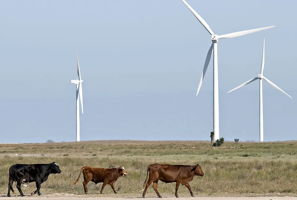 Wind turbines south of Kingsville, Texas.