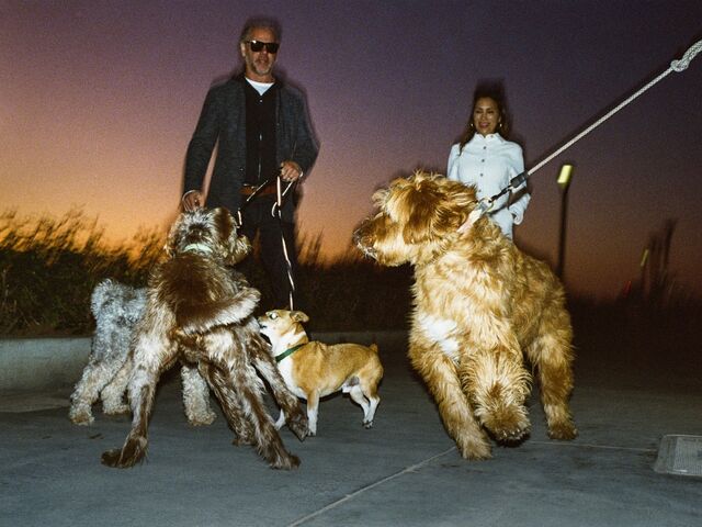 Starky, a goldendoodle in Huntington Beach, California with other dogs