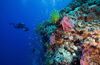 Tubbataha, Philippines coral reef