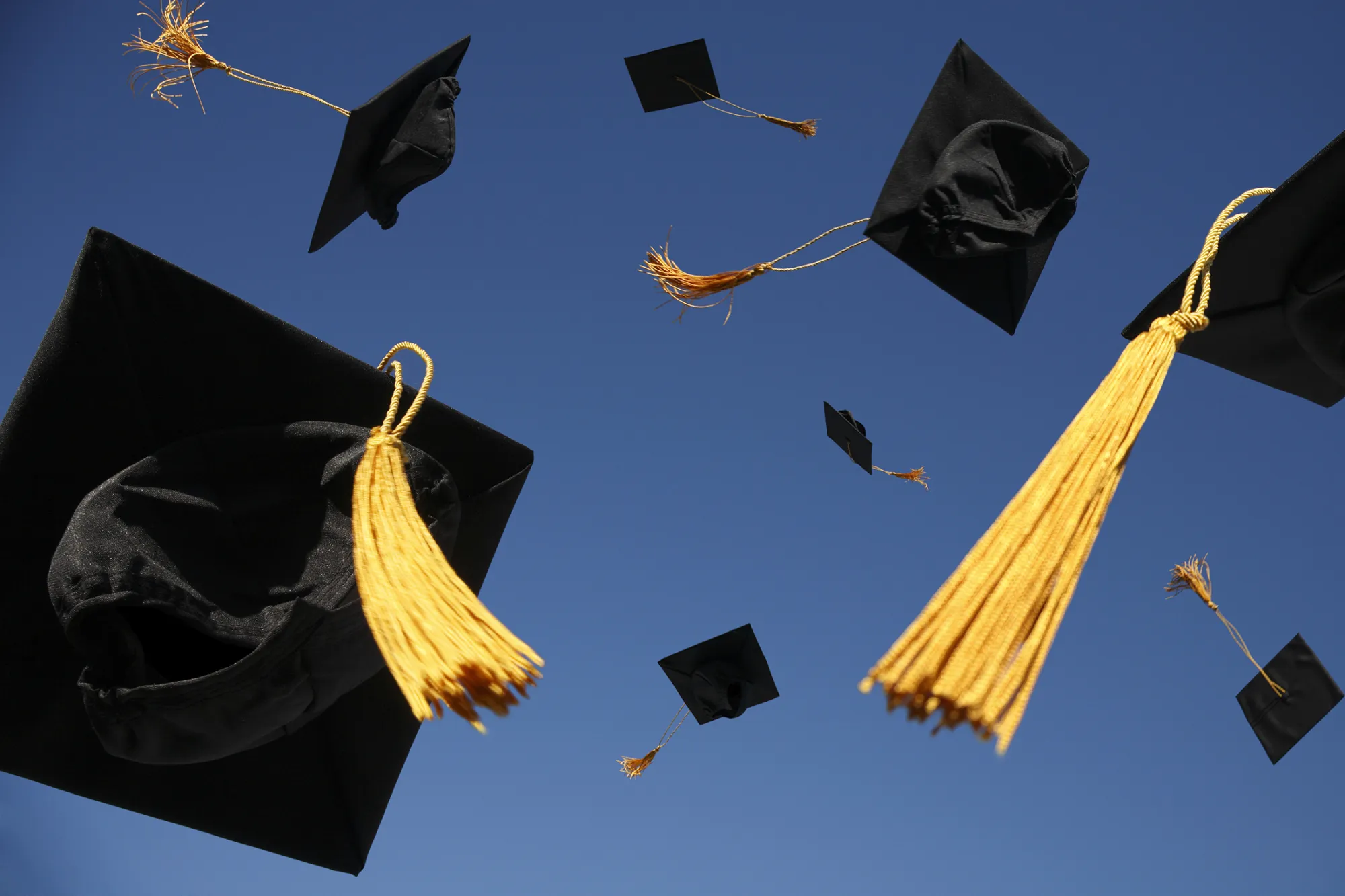 RF Graduation students college