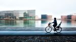 relates to Sweden and Denmark Launch an International Bike Ferry