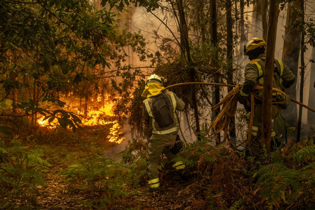 ブルームバーグのニュース記事「スペイン山火事で「全国的な協定」呼び掛け、党派超えて対応を－首相」の画像