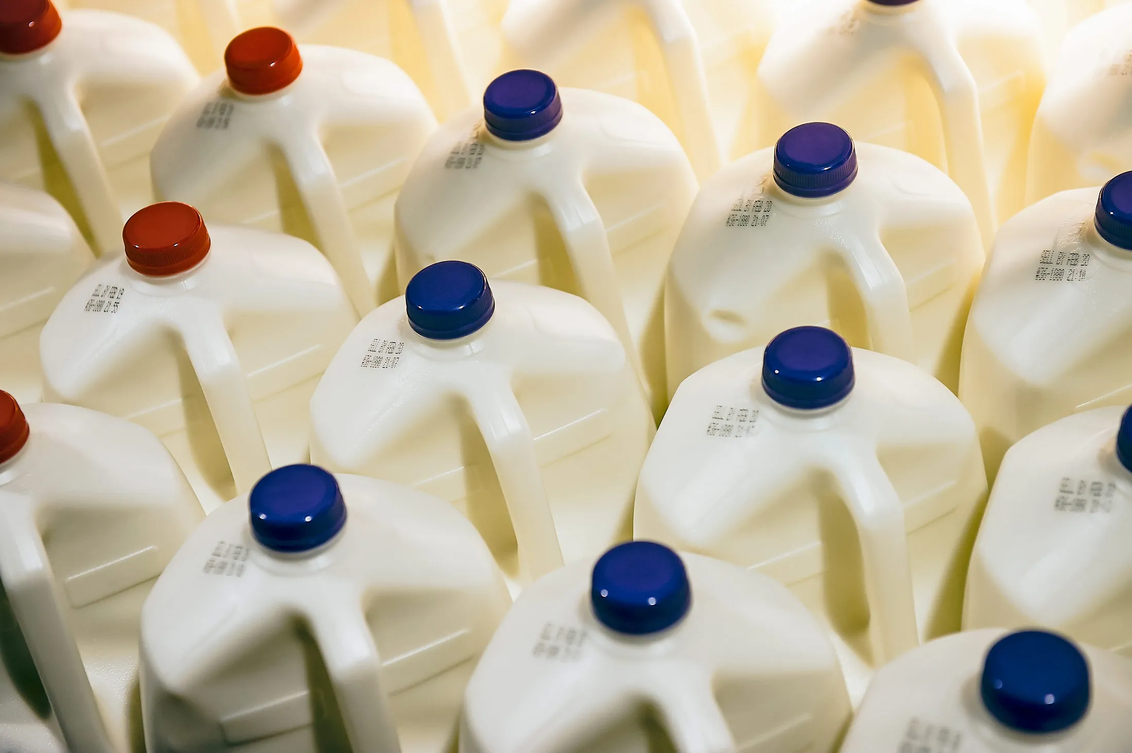 Americans spent an estimated $35 billion on organic groceries in 2014. About $5.1 billion of that went to dairy, more than doubling from a decade earlier.
