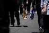 US Retail Sales Drop For Second Month As Tariff Anxiety Sets In