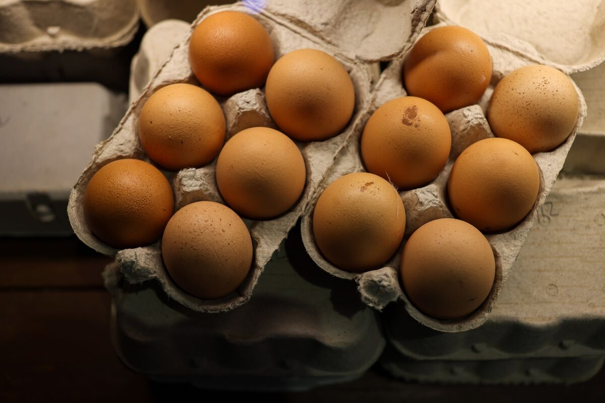 US Border Agents Seize 300% More Eggs From Americans Looking for Lower Prices in Mexico