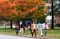 12. Dartmouth College
