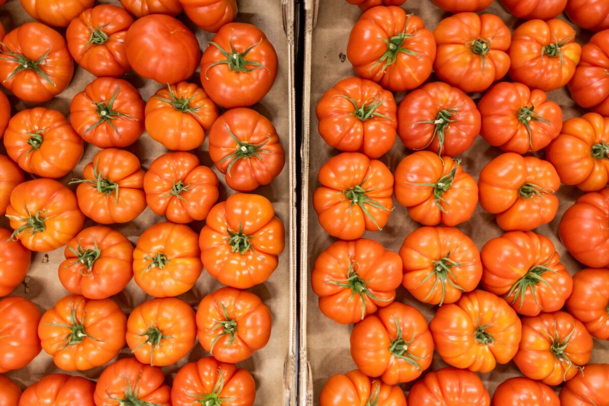 Get Ready for Tomato Season Sticker Shock