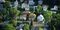 Fastest-growing city in Minnesota: Lakeville
