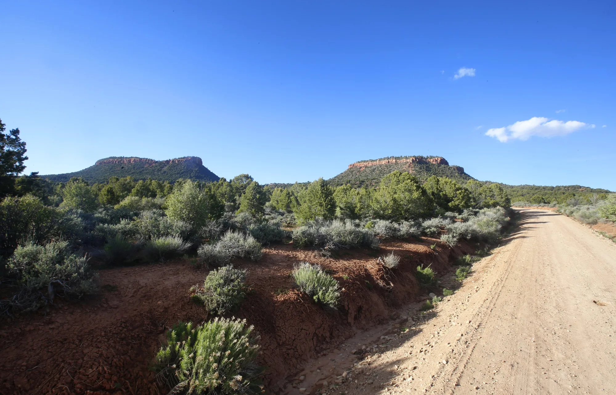 The two bluffs known as the "Bears Ears" stand off in the distance in the Bears Ears National Monument&nbsp;outside Blanding, Utah.