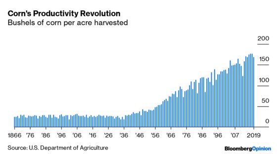 The U.S. Is Growing More Corn Than It Can Handle
