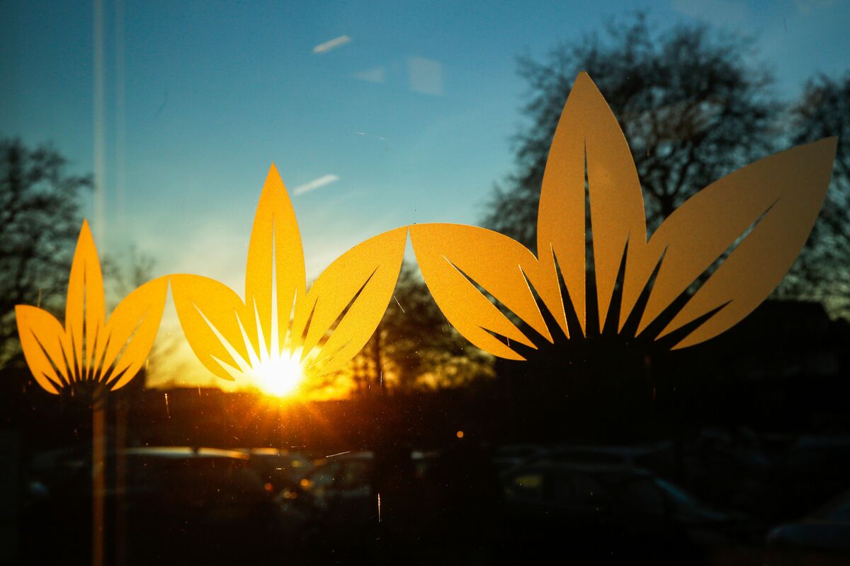 bloomberg.com - Jennifer Creery - British American Tobacco Looks to Sell Down ITC Hotels Stake to Reduce Debt