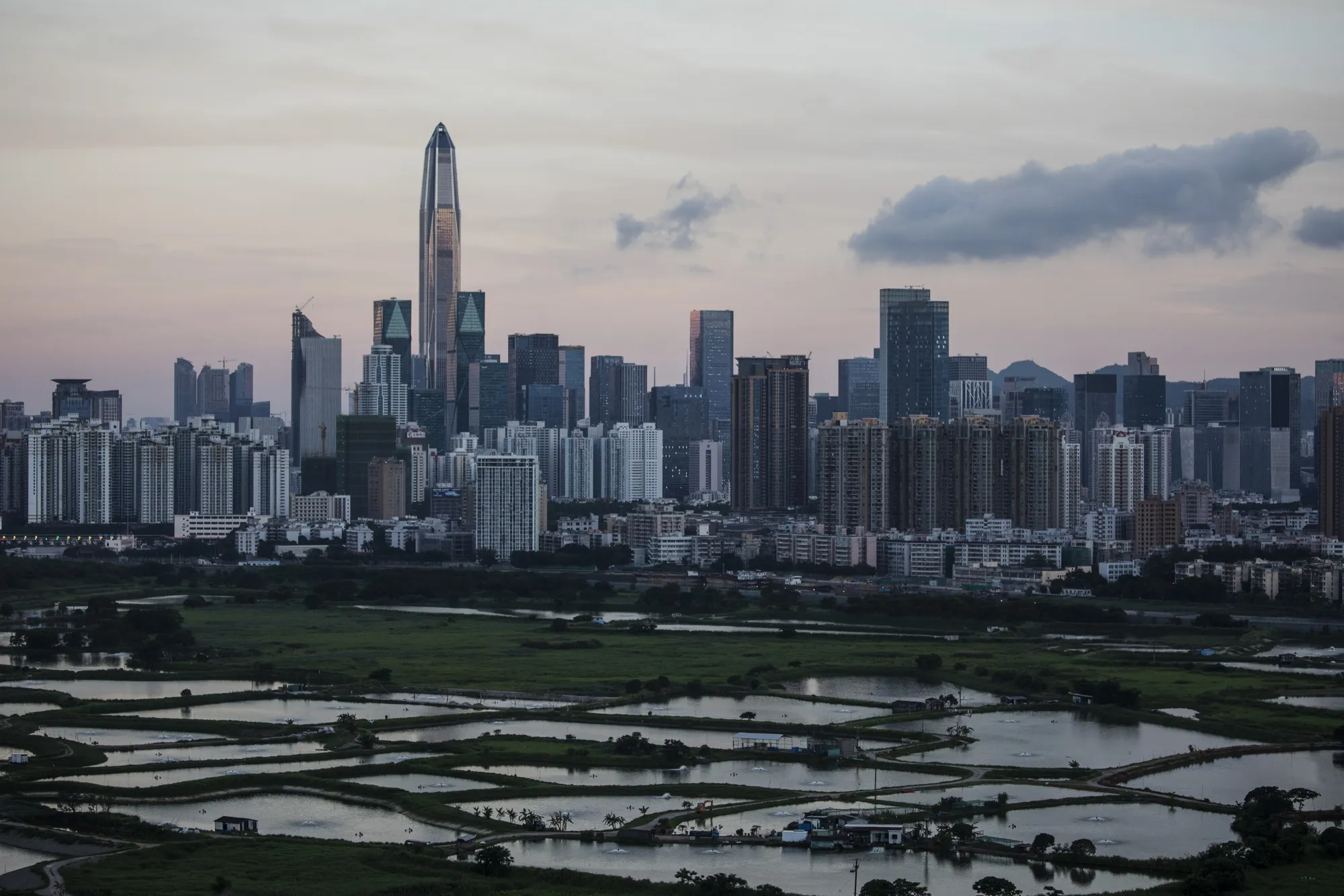The Ping An International Finance Center (Ping An IFC), centre left, and other buildings stand at dawn on the Shenzhen side of the border beyond farmland in the Ma Tso Lung district of Hong Kong.