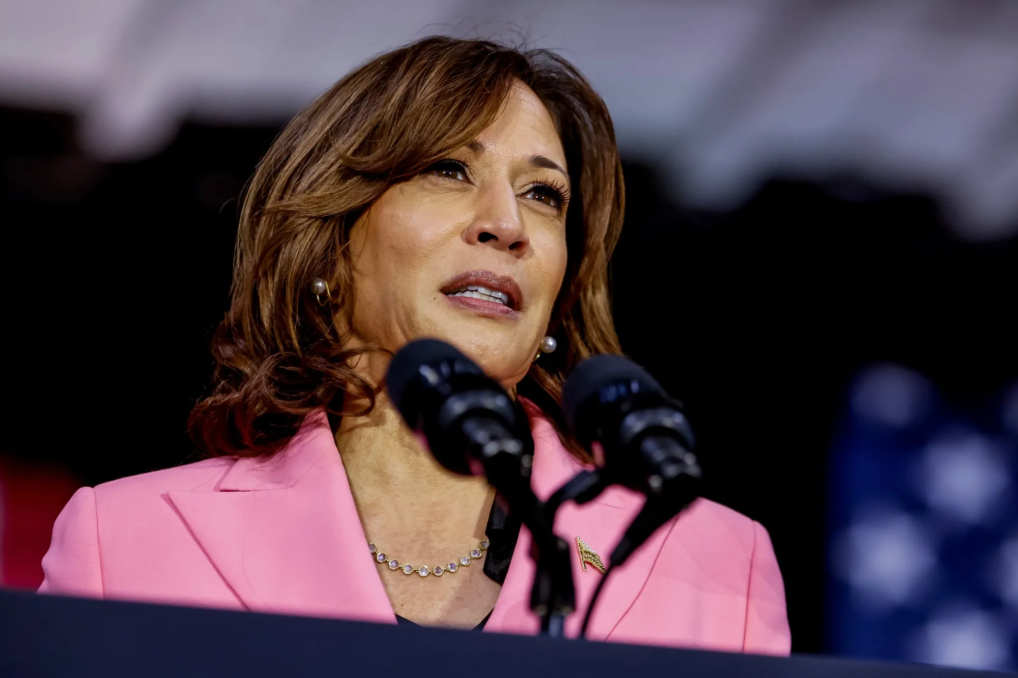 Vice President Kamala Harris