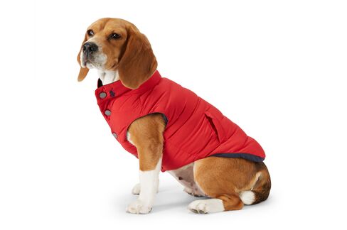 Quilted Dog Vest from Ralph Lauren Home.