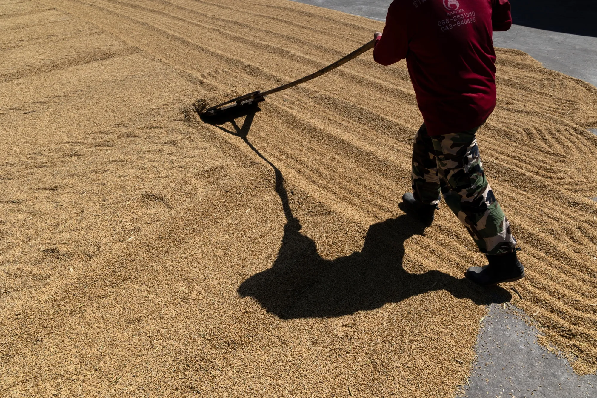 Rake For Rice Rice Benchmark Hits Eight-Year Low, Easing Food Price Pressures - Bloomberg