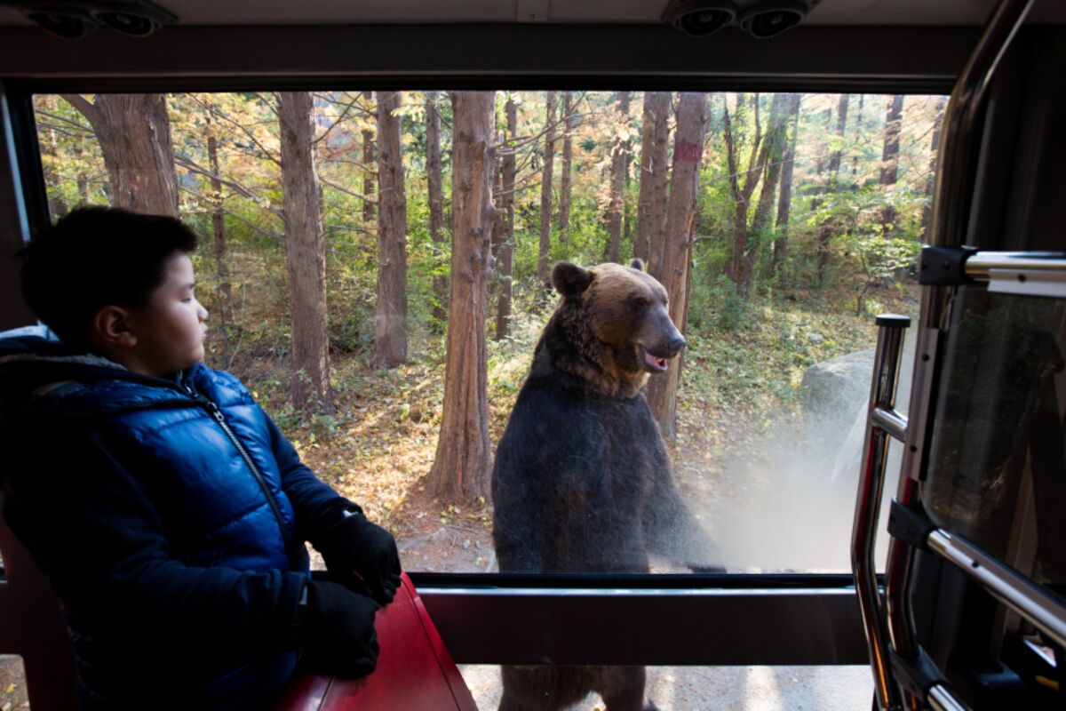 bloomberg.com - David Rovella - November Ends With Bad News for Market Bears