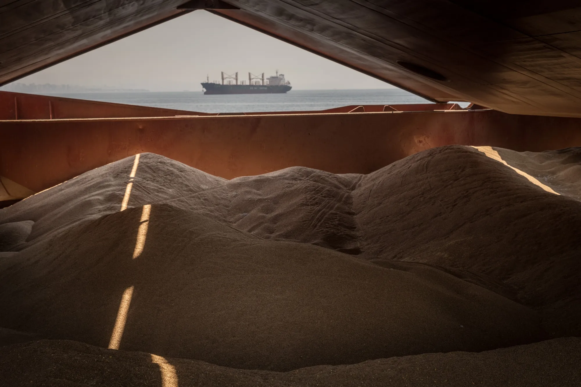Piles of grain during an inspection&nbsp;in Istanbul, Turkey.&nbsp;