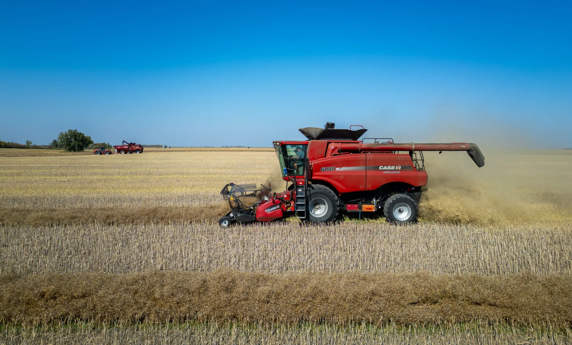 A combine harvester on a field during a canola harvest near Regina, Saskatchewan.