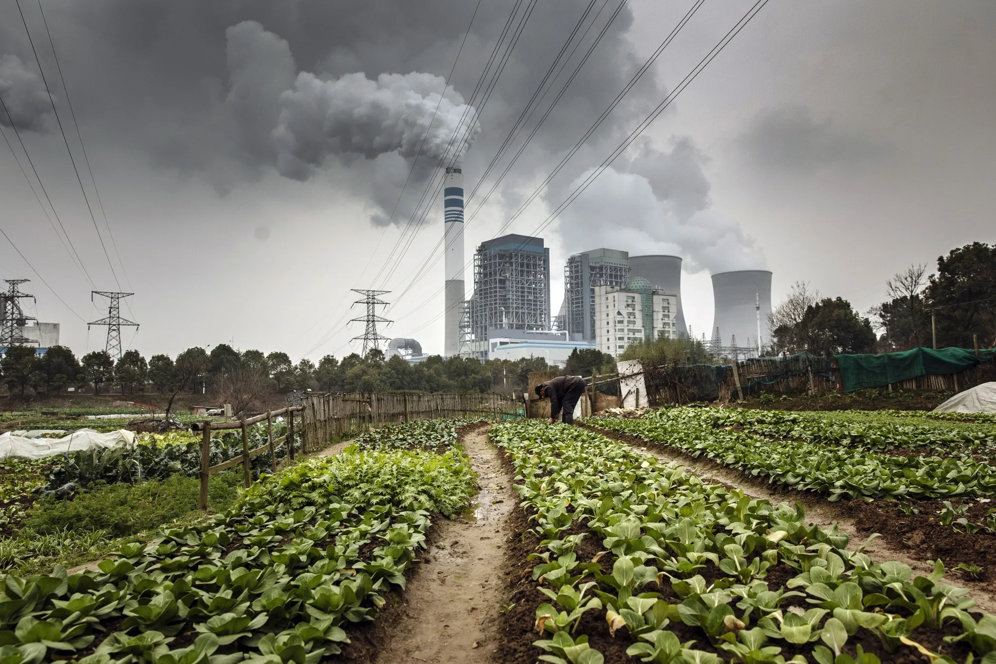 China is getting serious about reining in polluters.