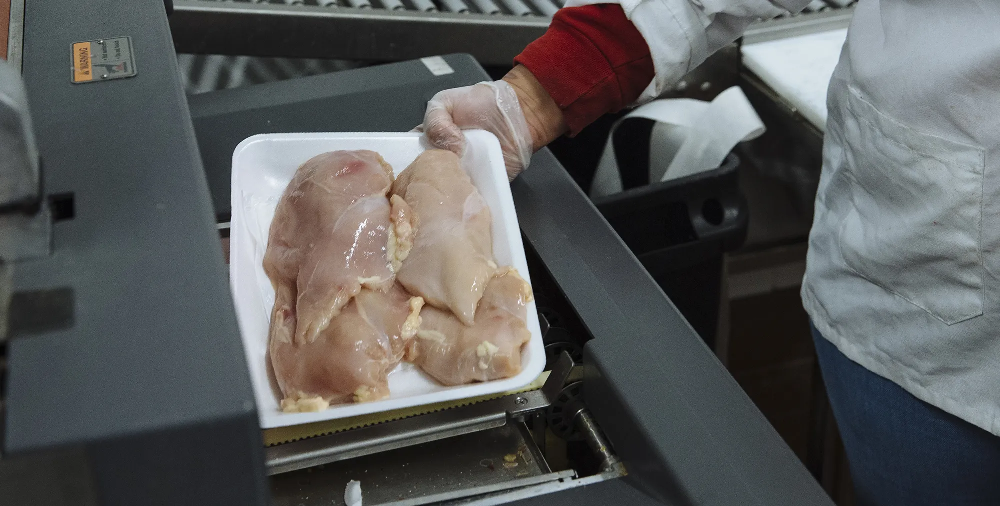 chicken