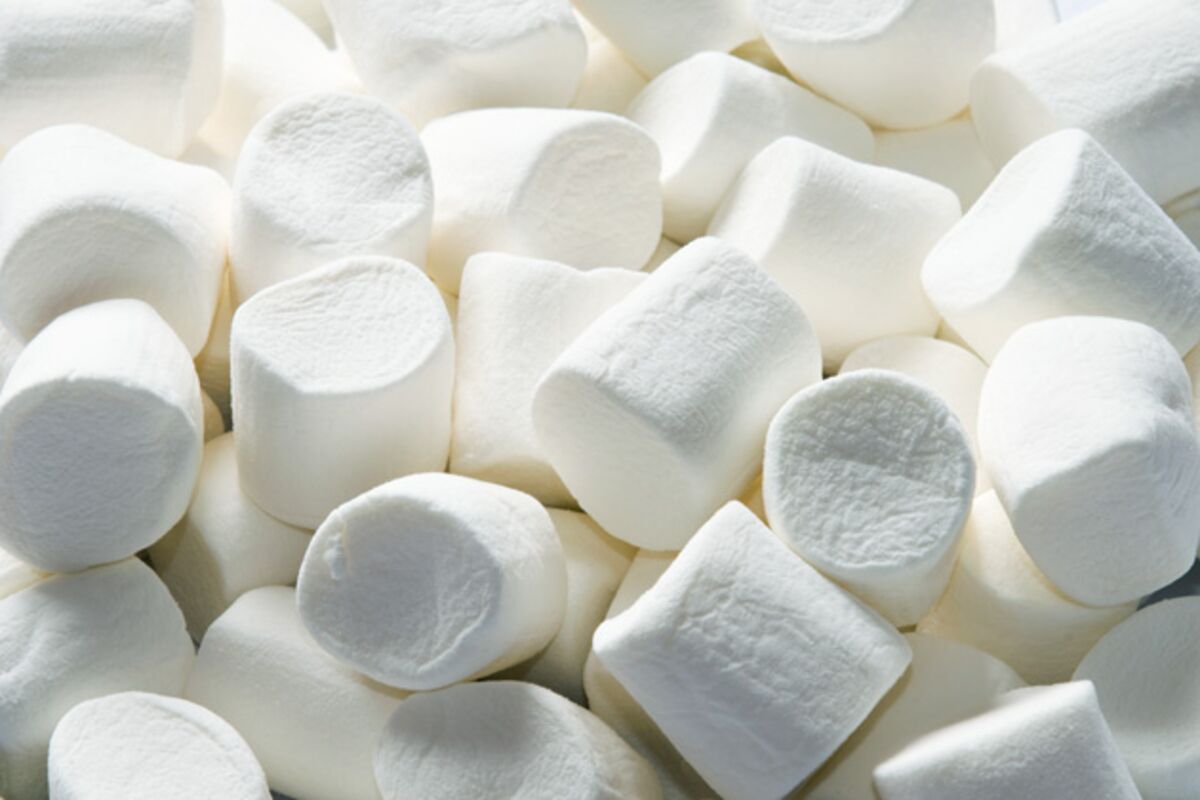 What Does the Marshmallow Test Actually Test? - Bloomberg