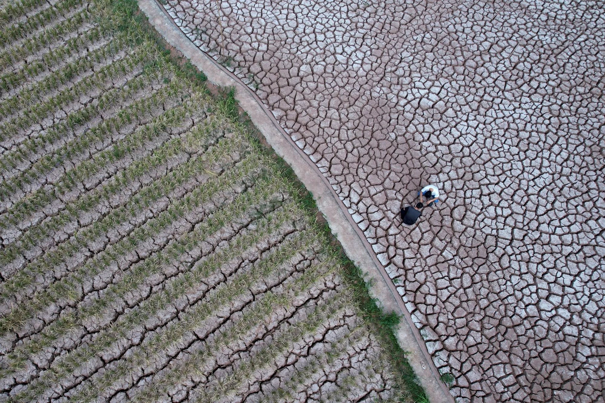China’s Sichuan Pivots From Historic Drought to Flood Warnings - Bloomberg